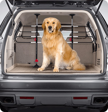 Accesorios para mascotas para el auto