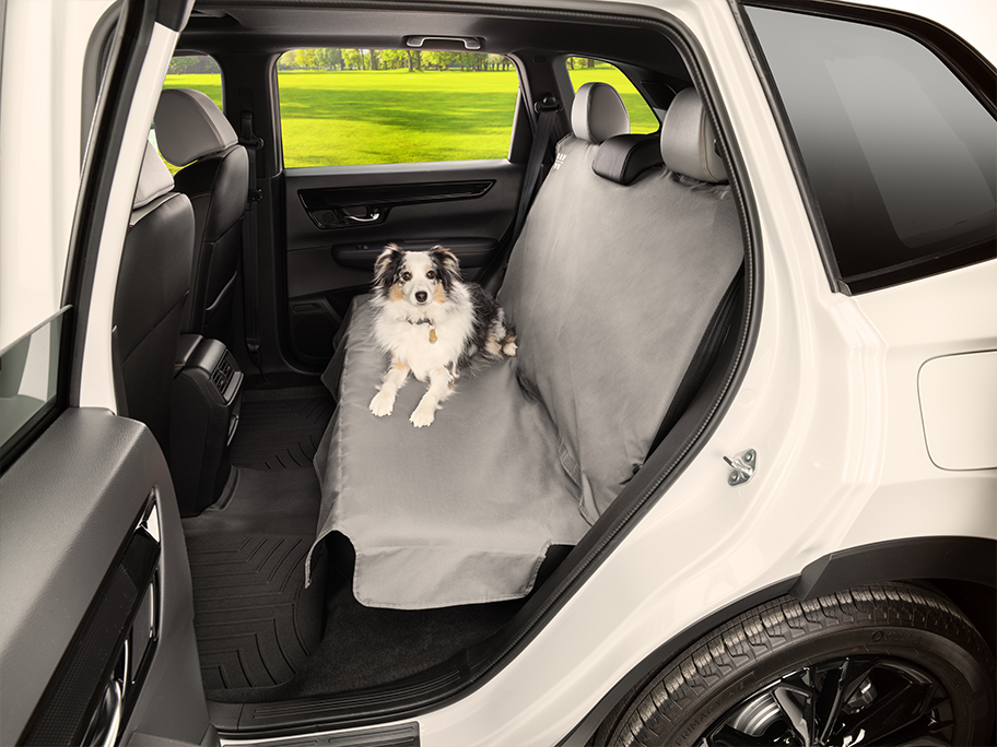 Protector de asiento