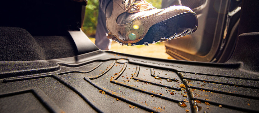 Interior Vehicle Protection