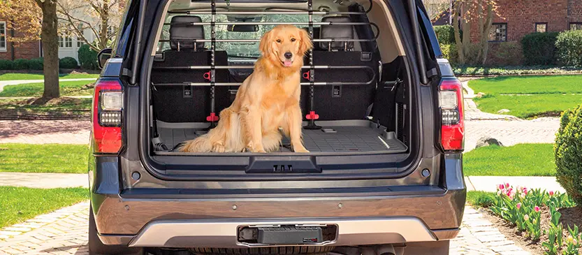 Accesorios para mascotas para el auto